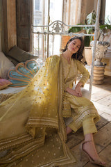 3 Piece Unstitched Heavy Embroidered Lawn Suit with Full Embroidered Organza Dupatta SB-62