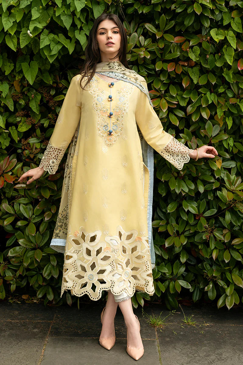 3 Piece - Unstitched Fully Chicken Kari Embroidered Lawn Fabric MS-2570