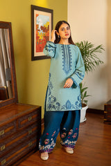 2 Piece - Unstitched Fully Embroidered Dhanak Fabric AK-930