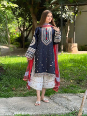 3 Piece - Unstitched Fully Embroidered Dhanak Fabric RR-610