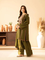 BT 2960-3 Piece Unstitched Heavy Embroidered Dhanak Suit ( Dhanak Embroidered Shawl )