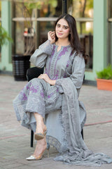 MS-170-Dhanak Fabric 3 Piece - Unstitched Fully Embroidered With Chiffon Embroidered Dupatta