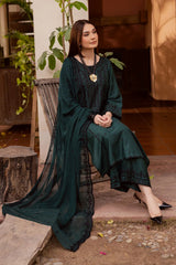 BT 3085-Dhanak Fabric 3 Piece Unstitched (Dhanak Embroidered Shawl)
